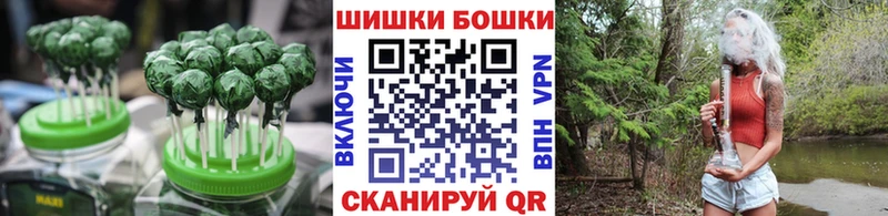 Canna-Cookies конопля  hydra   Полярный 