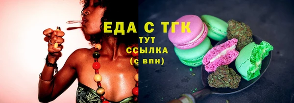 мдпв Рославль