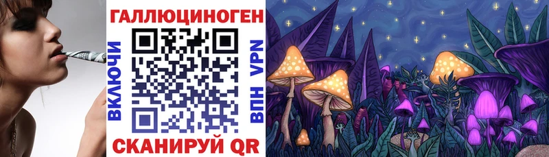 где купить   Полярный  Галлюциногенные грибы прущие грибы 