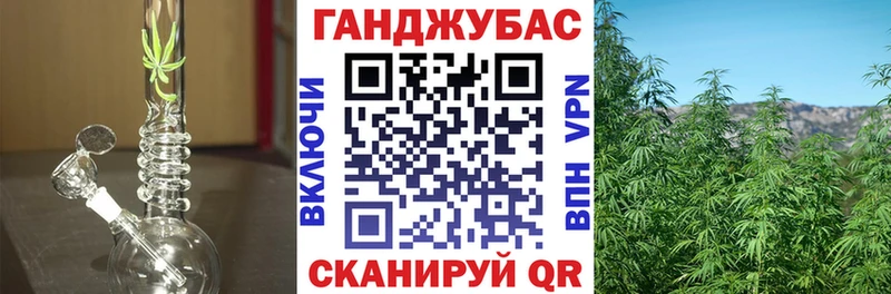 Каннабис планчик Полярный